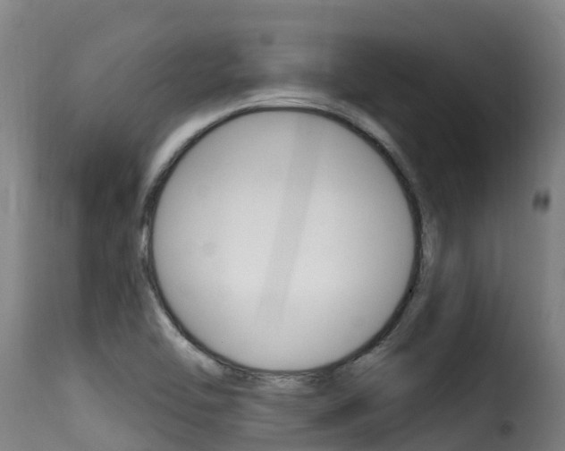 X0000116111462200911230943