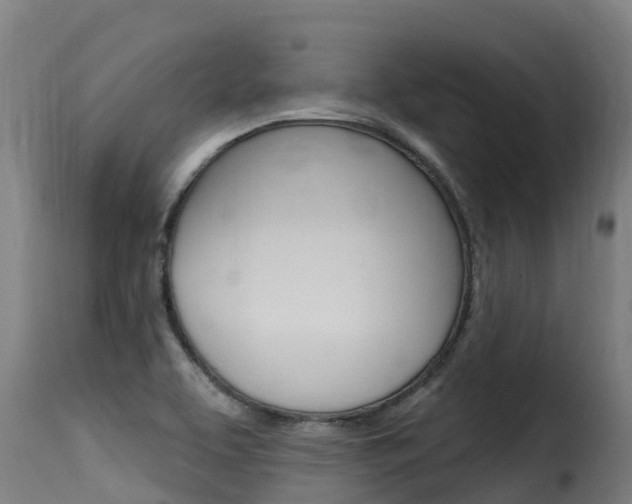 X0000116111463200911230943
