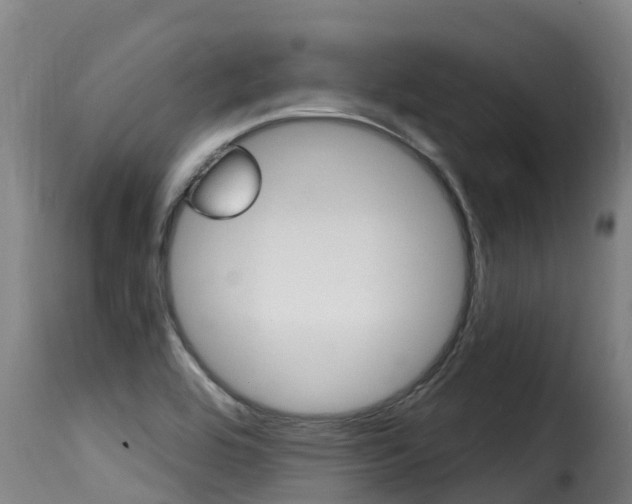 X0000116111464200911230943