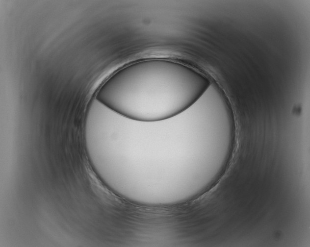 X0000116111465200911230943