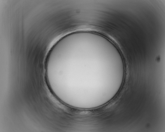 X0000116111467200911230943