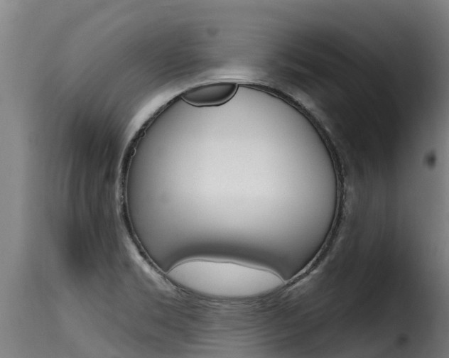 X0000116111469200911230943