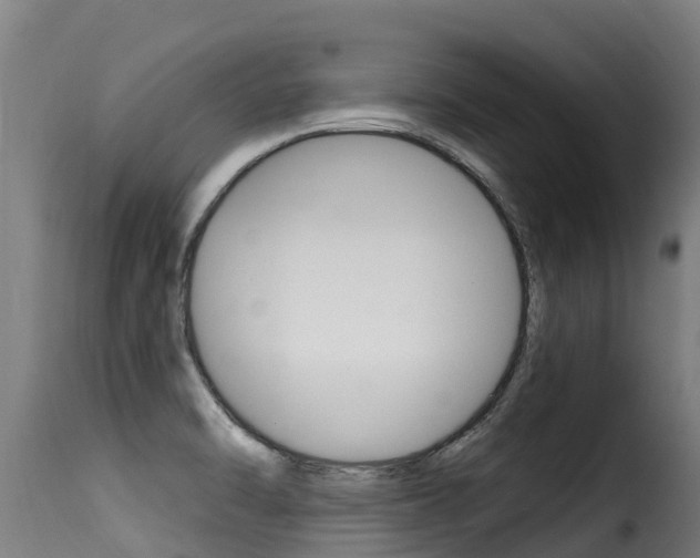 X0000116111470200911230943