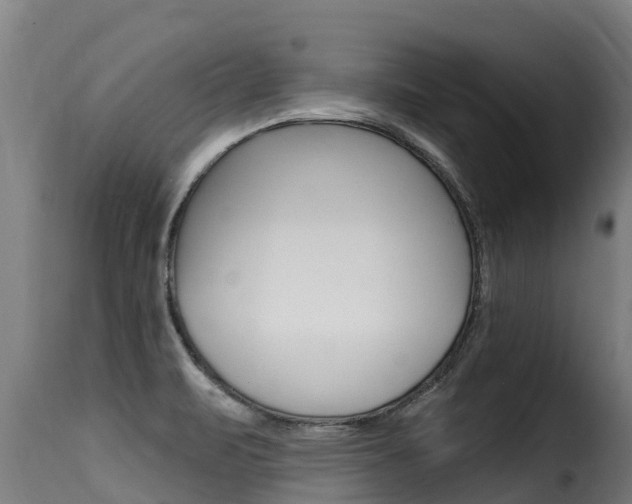 X0000116111471200911230943