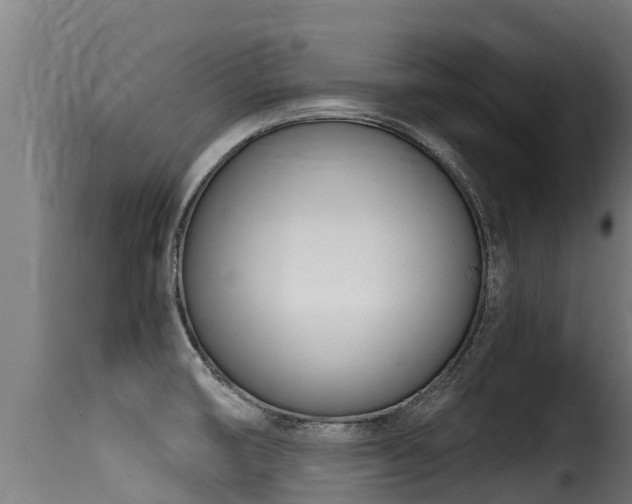 X0000116111474200911230943