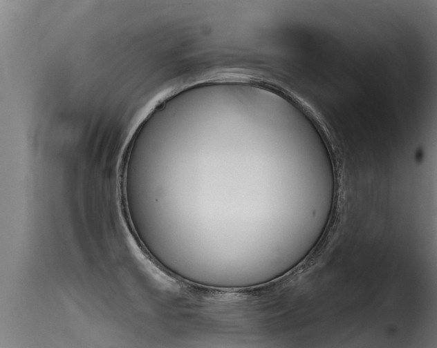 X0000116111475200911230943