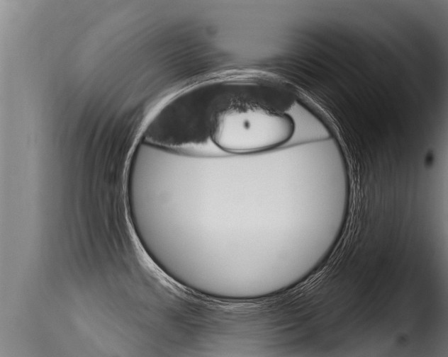 X0000116111483200911230943