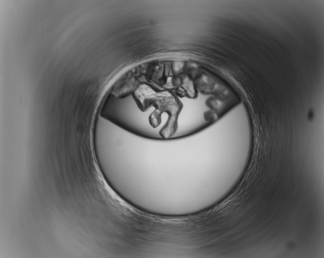 X0000116111484200911230943