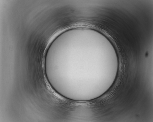 X0000116111486200911230943