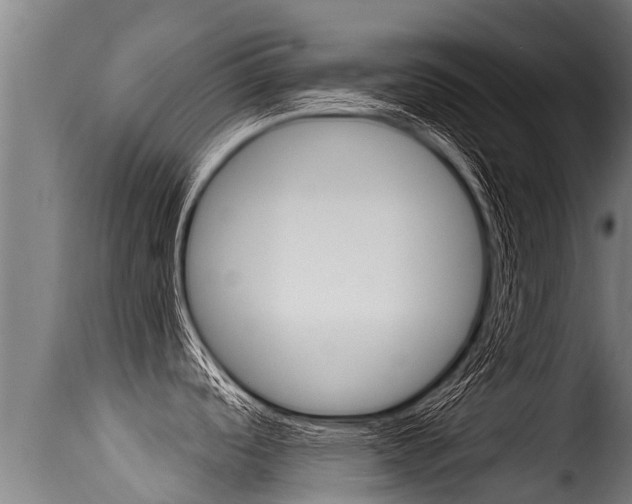 X0000116111488200911230943