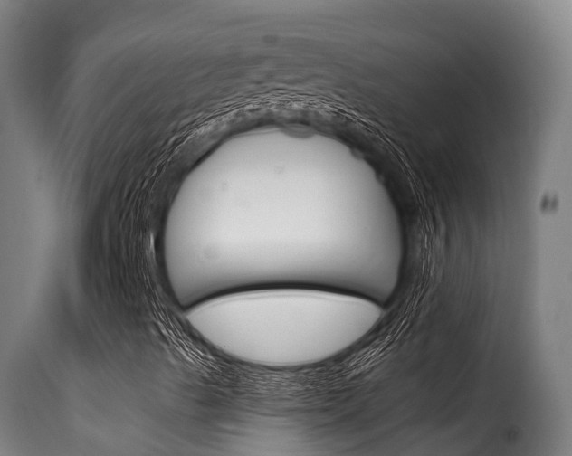 X0000116111489200911230942