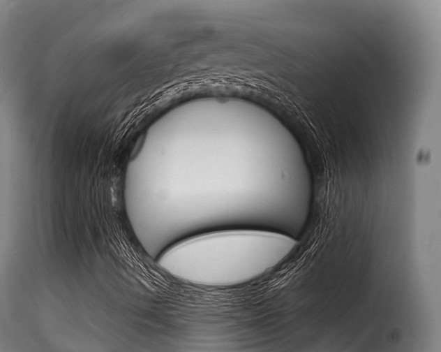 X0000116111490200911230942
