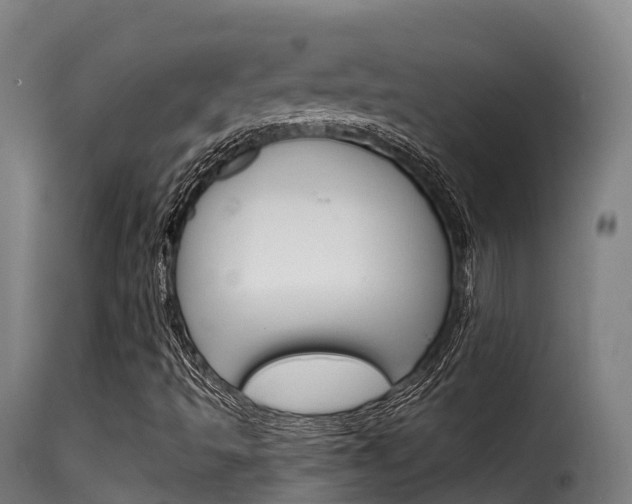 X0000116111493200911230943