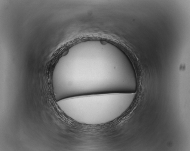 X0000116111494200911230943