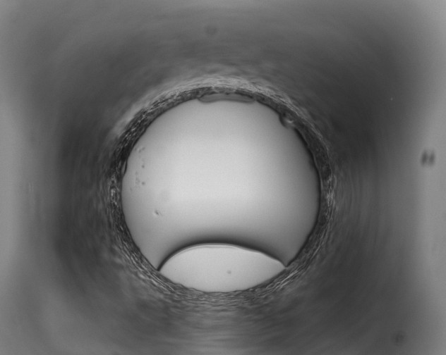 X0000116111495200911230943