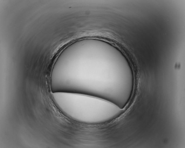 X0000116111497200911230943