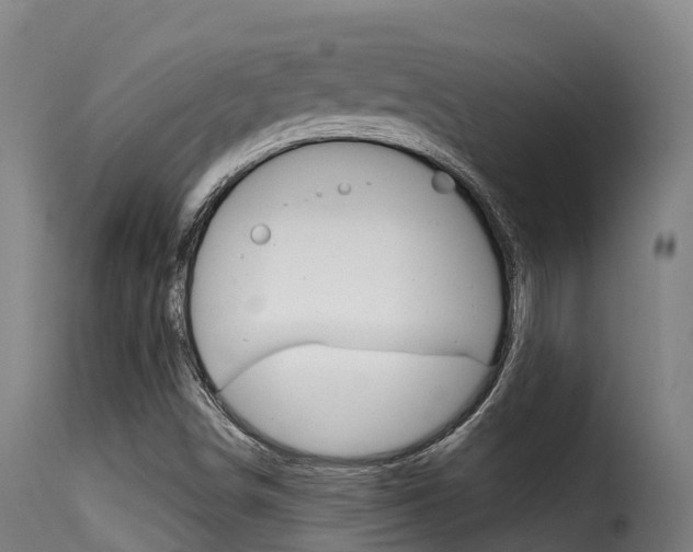 X0000116111498200911230943