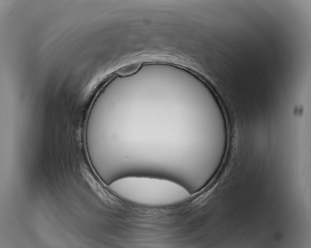 X0000116111499200911230943