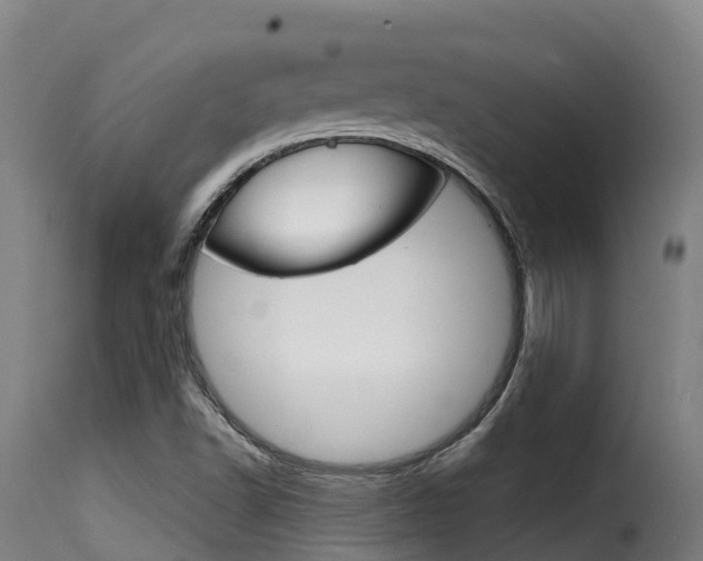 X0000116111502200911230943