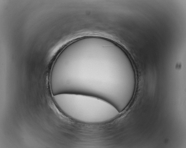 X0000116111503200911230943
