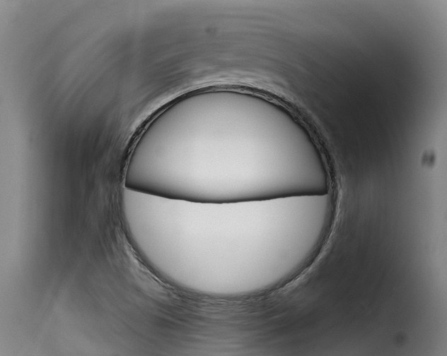 X0000116111505200911230943