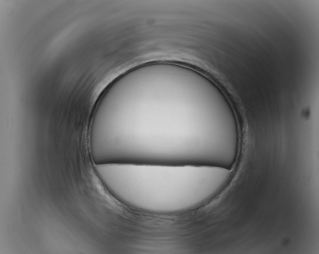 X0000116111513200911230943