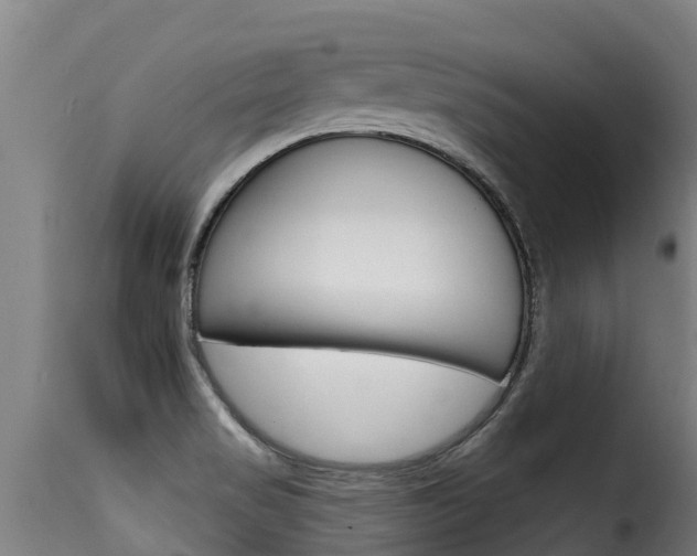X0000116111517200911230943
