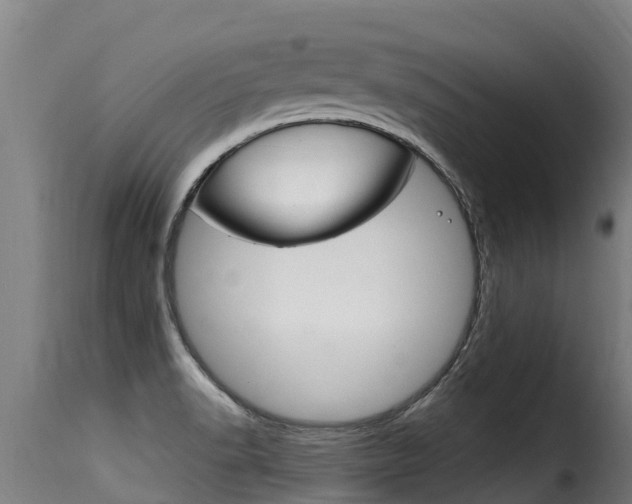 X0000116111518200911230943