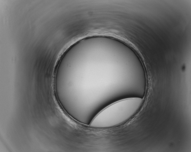 X0000116111525200911230943