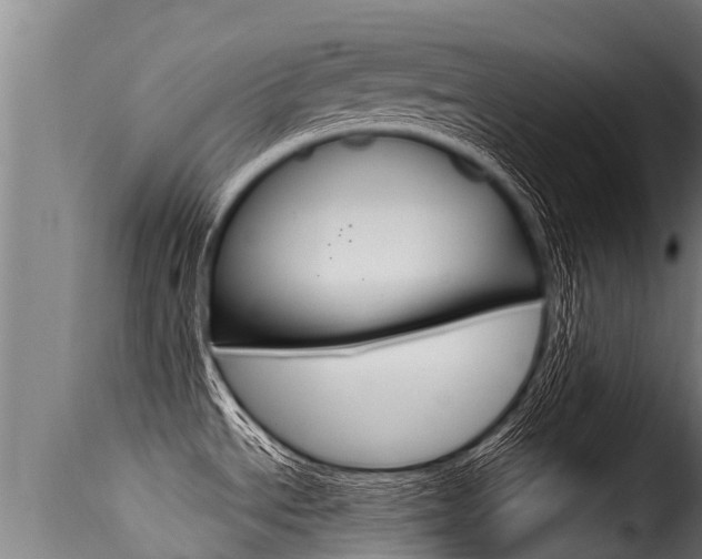 X0000116111534200911230943
