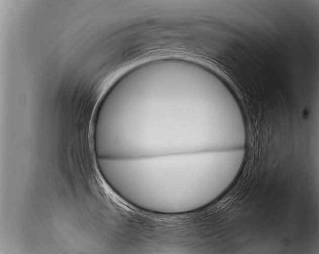 X0000116111535200911230943