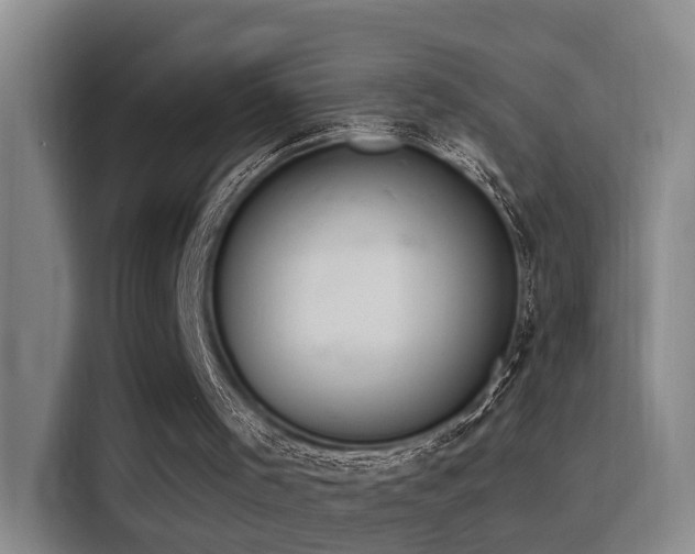 X0000116110001200911231155