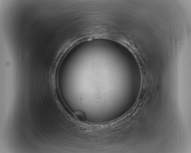 X0000116110002200911231155