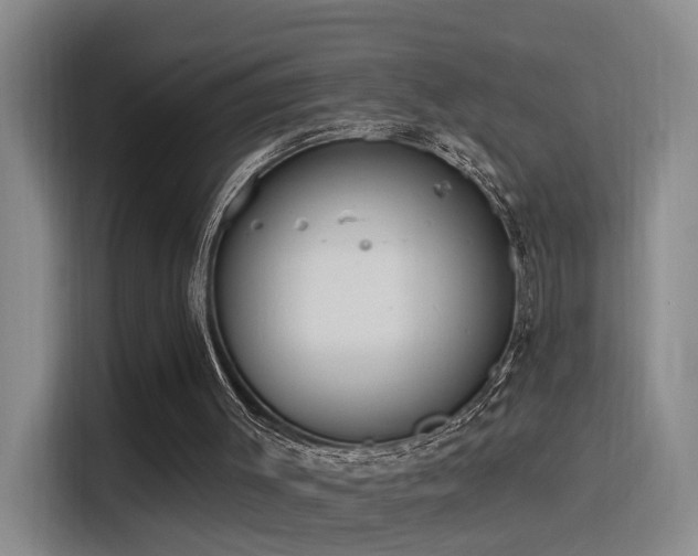 X0000116110003200911231155