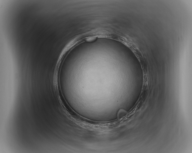 X0000116110004200911231155