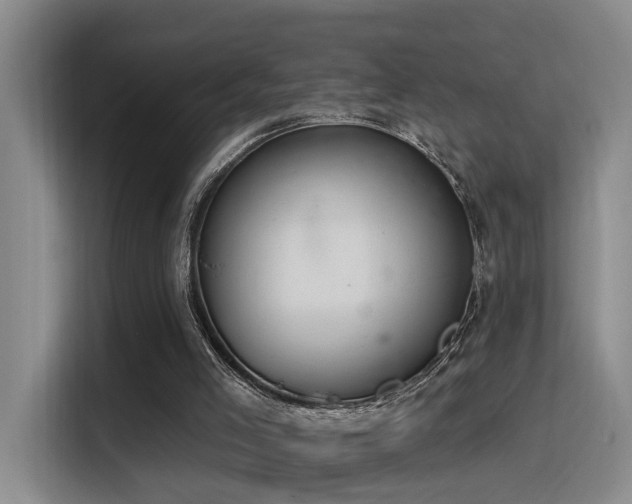 X0000116110005200911231155