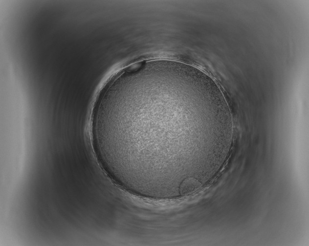 X0000116110006200911231155