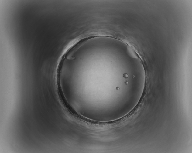 X0000116110008200911231155