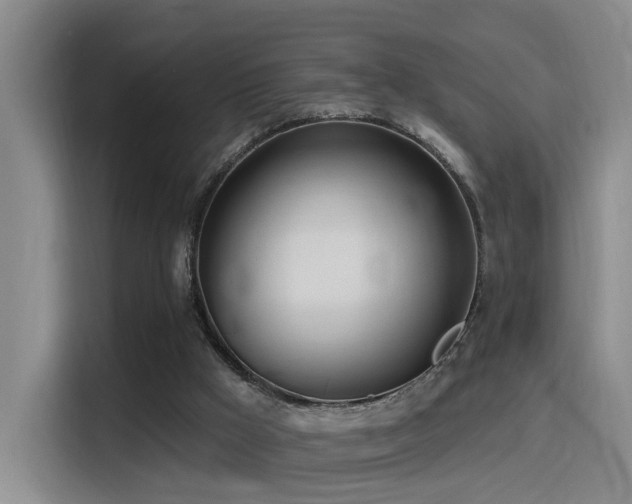 X0000116110009200911231155