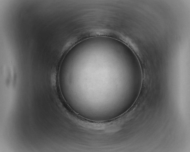 X0000116110010200911231155