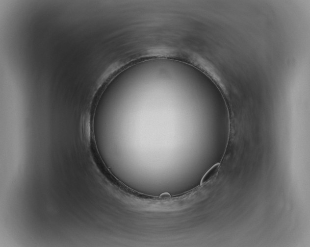 X0000116110011200911231155