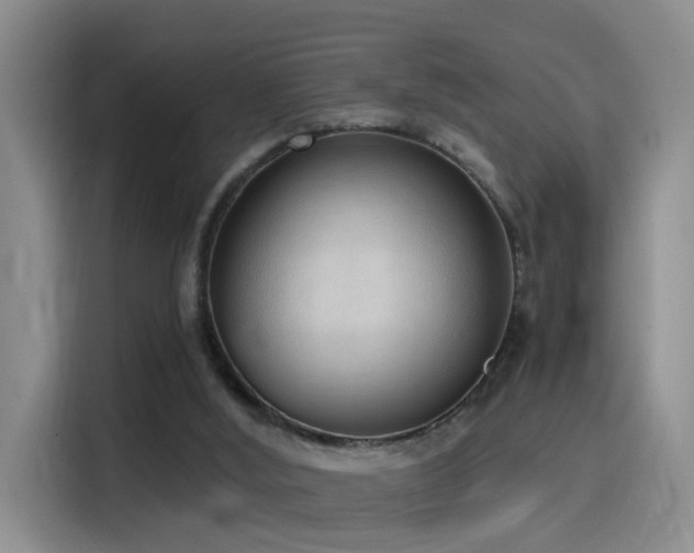 X0000116110012200911231155