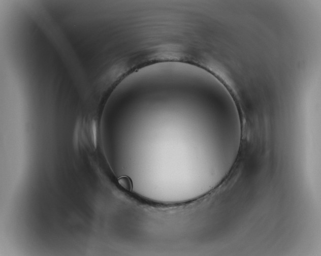 X0000116110013200911231154