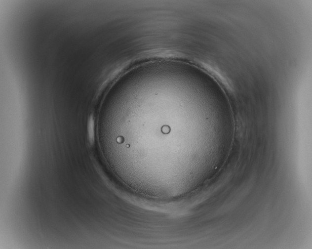 X0000116110014200911231154