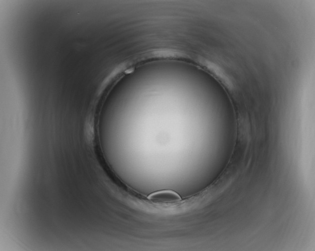 X0000116110015200911231154