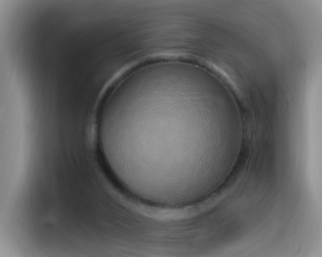 X0000116110016200911231154