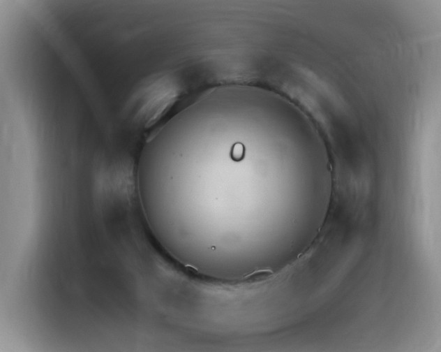 X0000116110017200911231154