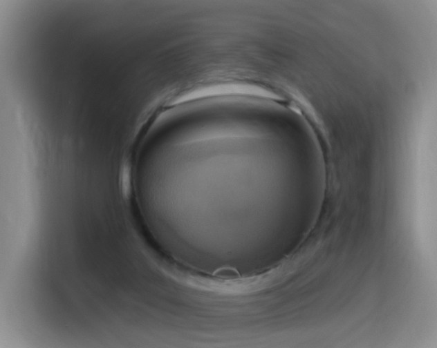 X0000116110019200911231154