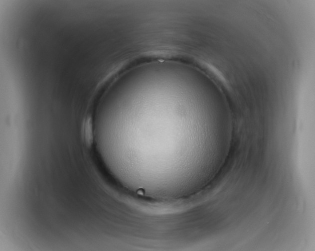 X0000116110020200911231154