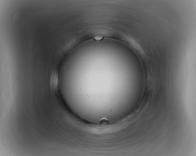 X0000116110021200911231154